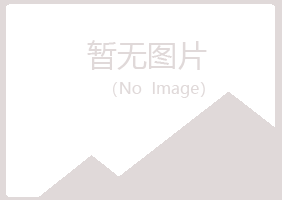 青岛崂山敷衍金融有限公司